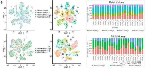 42分Nature頂刊單細胞測序綜述 刷新人類細胞圖譜認知，揭示下一波研究熱點